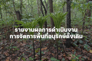 ภาพถ่ายหน้าจอ 2567-11-29 เวลา 16.25.58